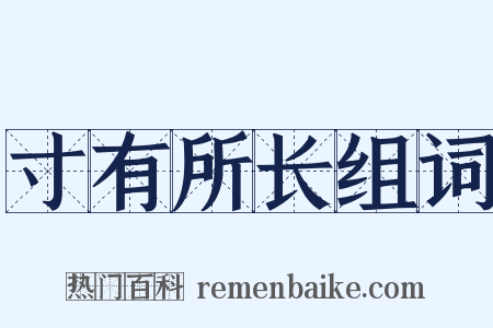 寸有所长组词是什么意思的图片